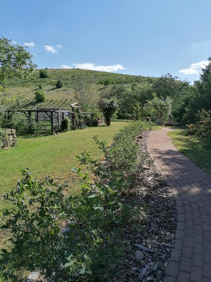 Monteurunterkunft Maria Freital Luaran gambar
